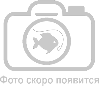 Свиязь - утка