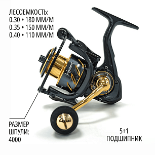 Катушка Kasumi Saito 4000