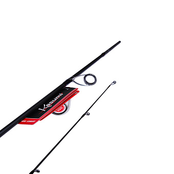 Удилище спиннинговое Kasumi Denso 229 12-46g