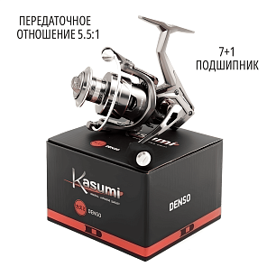 Катушка Kasumi Denso 1000